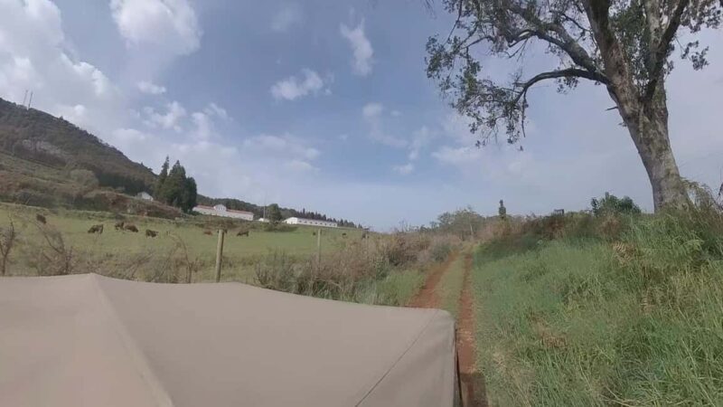 Madeira: Northwest Jeep Tour - Madeira: Northwest Jeep Tour – A Detailed Look at an Off-Road Adventure