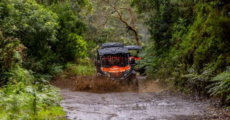 madeira-off-road-buggy-adventure-to-funduras
