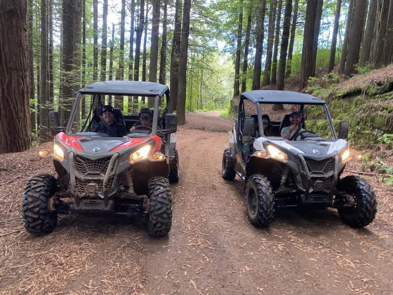 Madeira: Off-Road Buggy Driving Experience - An In-Depth Look at the Madeira Off-Road Buggy Adventure