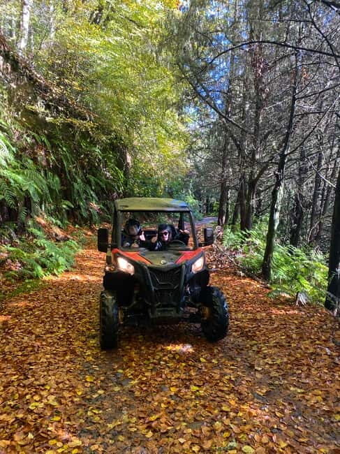 Madeira: Off-Road Buggy Driving Experience - FAQs