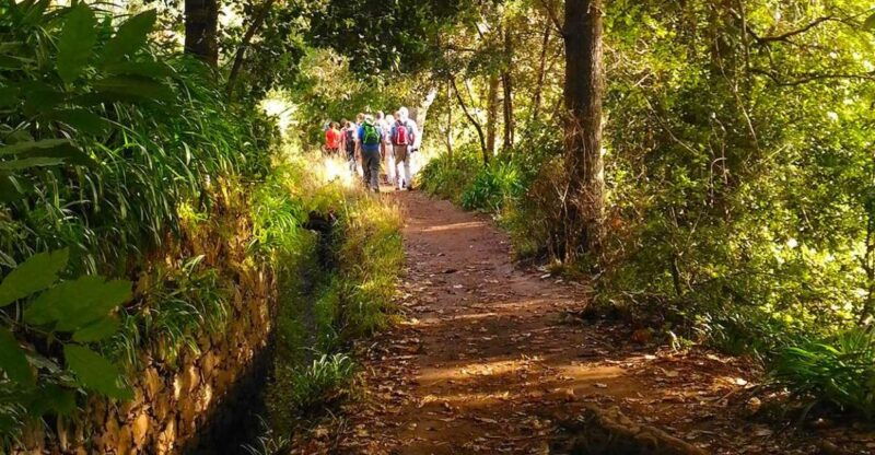 madeira-paradise-valley-levada-walk