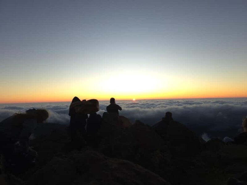 Madeira: Pico do Arieiro Sunrise Tour with Breakfast - The Experience Provider and Booking Details