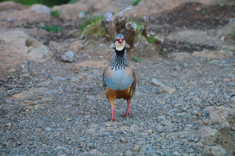 madeira-pico-do-arieiro-to-pico-ruivo-guided-hike