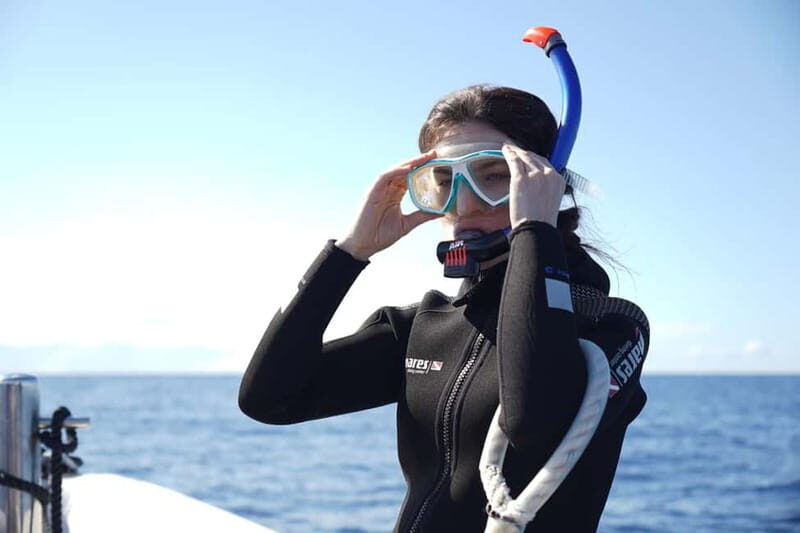 Madeira: Ponta de São Lourenço Snorkeling Boat trip - FAQs