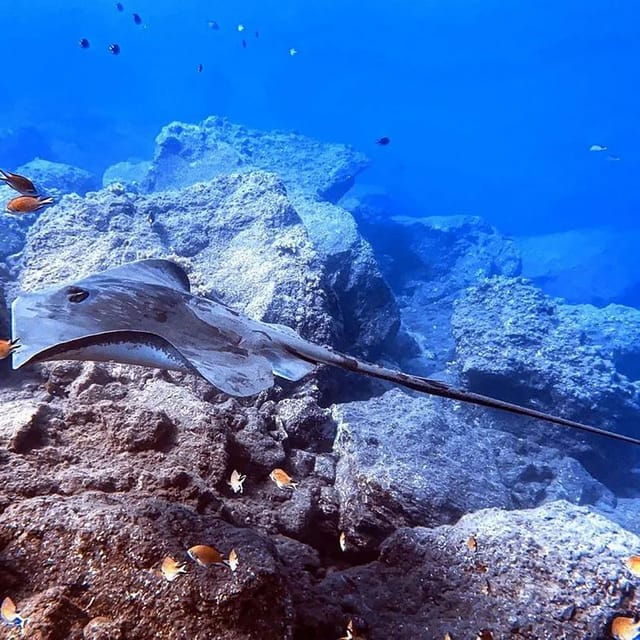 madeira-ponta-sao-lourenco-scuba-diving-for-beginners