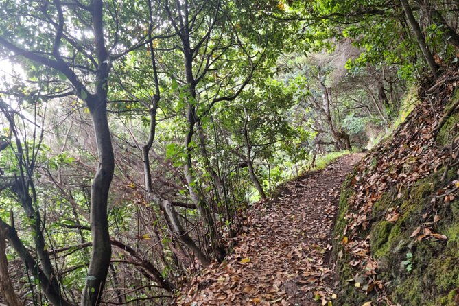 madeira-porto-da-cruz-to-machico-self-hiking-tour-with-transfer