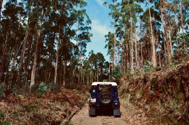 madeira-porto-moniz-wild-west-tour-in-44-car-duration-7-5h