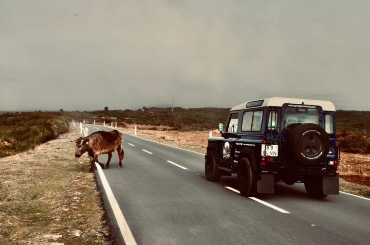madeira-porto-moniz-wild-west-tour-in-44-car-duration-7-5h