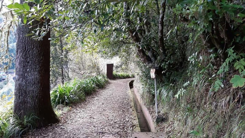 Madeira: Private 1.5-Kilometer Levada dos Balcões Hike PR11 - The Value of the Tour