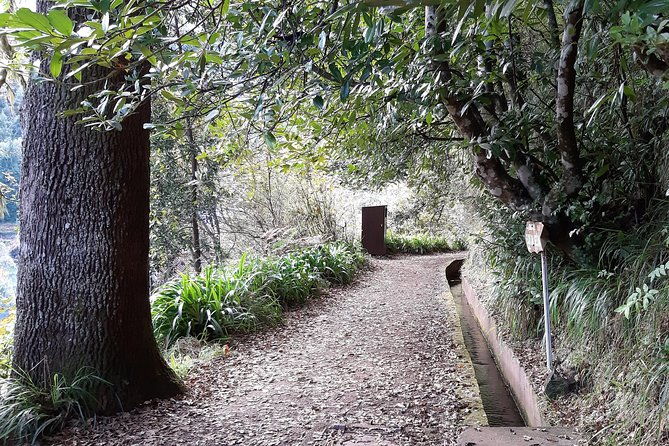 madeira-private-1-5-kilometer-levada-dos-balcoes-hike-pr11