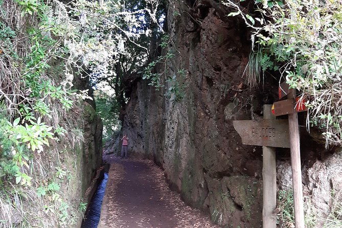madeira-private-1-5-kilometer-levada-dos-balcoes-hike-pr11