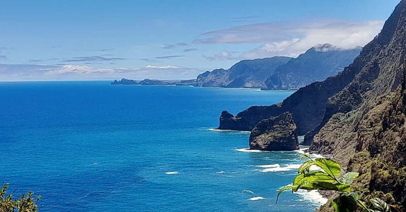 Madeira: Private 4x4 Nature Tour with Guide - Who Will Love This Tour?