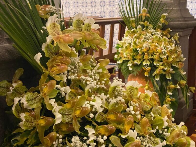 madeira-private-4x4-tour-north-west-coast