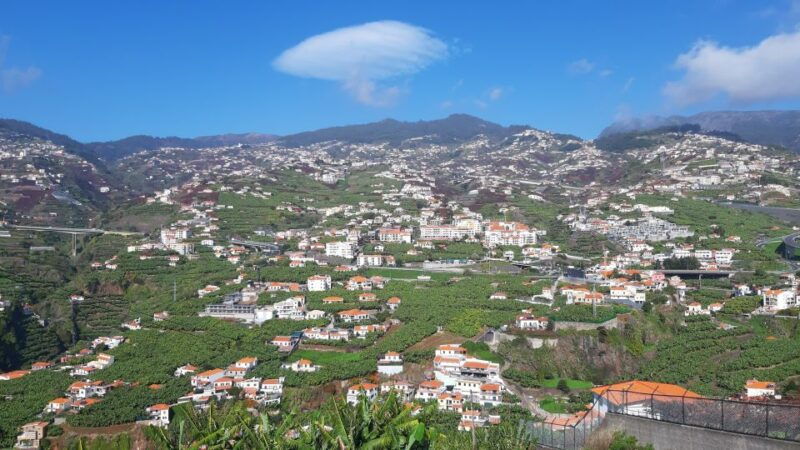 madeira-private-banana-farm-tour-with-pickup
