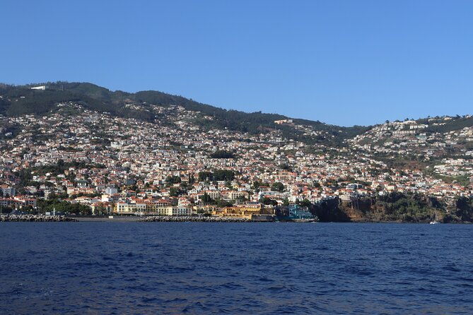madeira-private-boat-tour-from-funchal-2