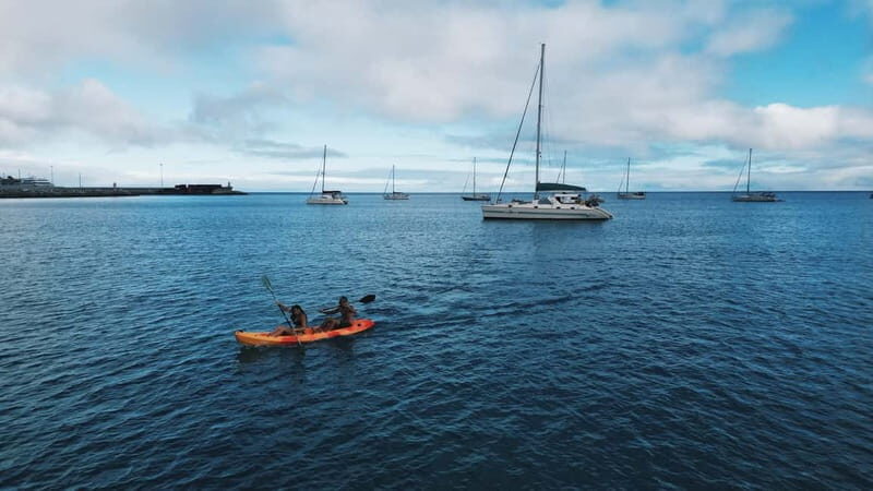 Madeira: Private Catamaran Tour with Snorkeling - Whats Included and How It Adds Value