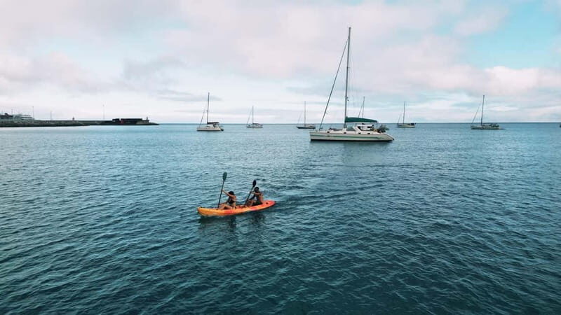 Madeira: Private Catamaran Tour with Snorkeling - Who Is This Tour Best For?