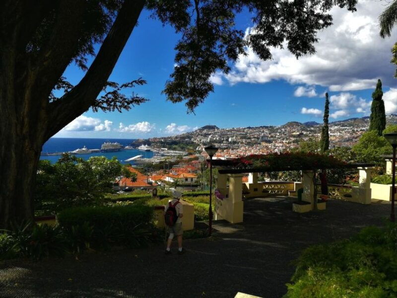 madeira-private-funchal-city-tour-in-a-tukxi