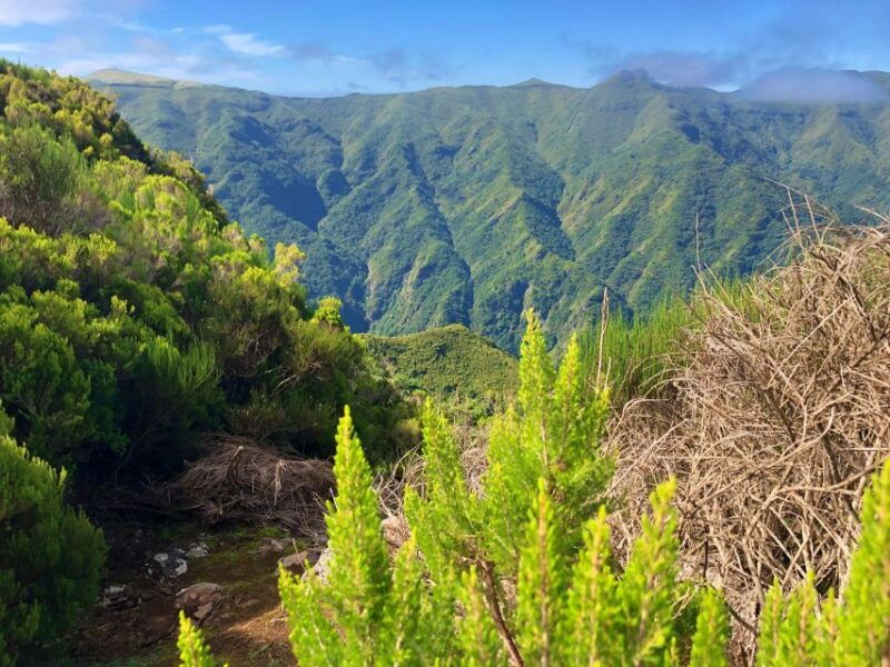 madeira-private-guided-vereda-do-fanal-walk-pr13
