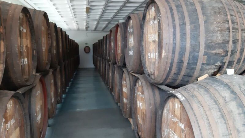 madeira-private-half-day-wine-tasting-tour