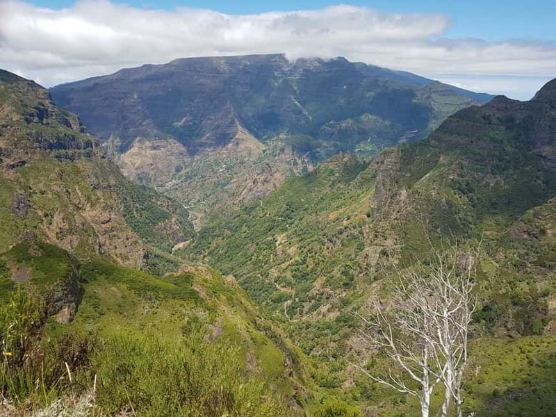 Madeira: Private Laurisilva Tour - Practical Details and Tips