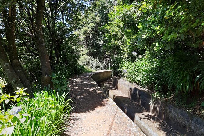 madeira-private-laurisilva-tour