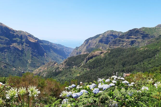 madeira-private-laurisilva-tour