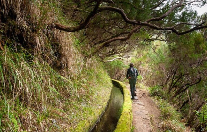 madeira-private-levada-hike-experience-with-a-local-guide