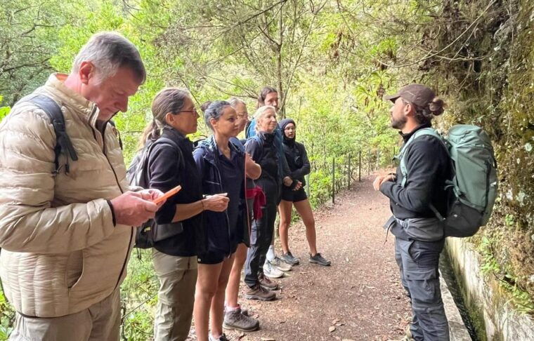 madeira-private-levada-hike-experience-with-a-local-guide