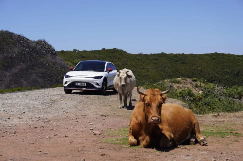madeira-private-premium-eco-friendly-tour-in-electric-car