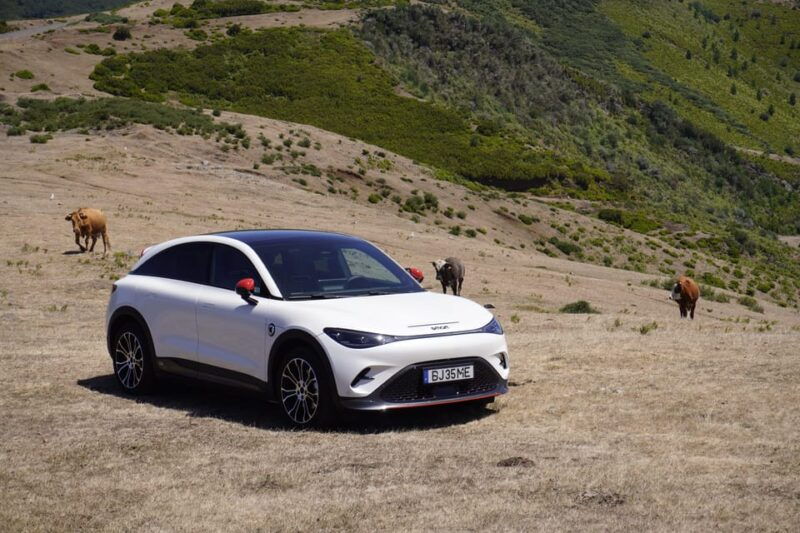 madeira-private-premium-eco-friendly-tour-in-electric-car