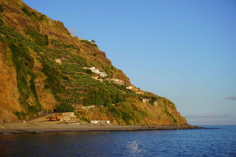 madeira-private-premium-eco-friendly-tour-in-electric-car