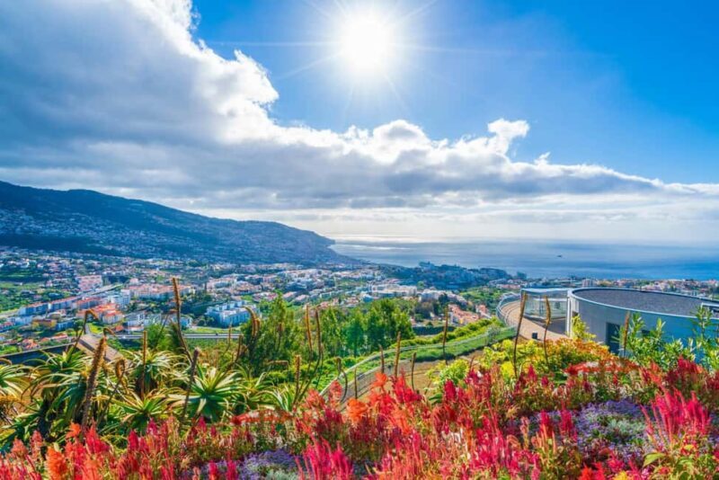 Madeira: Private Tour for Cruise Ship Passengers - FAQs