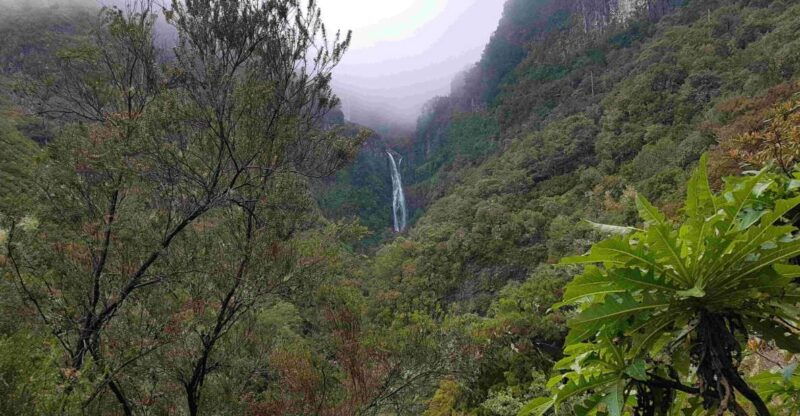 madeira-private-walking-tour-of-levada-das-25-fontes-pr6