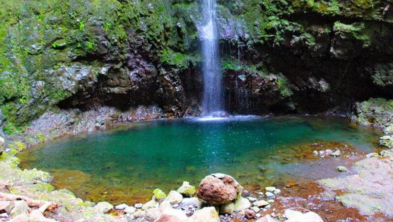 madeira-queimadas-caldeirao-verde-and-levada-walk