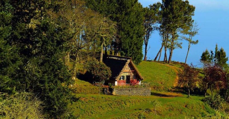 madeira-queimadas-caldeirao-verde-and-levada-walk