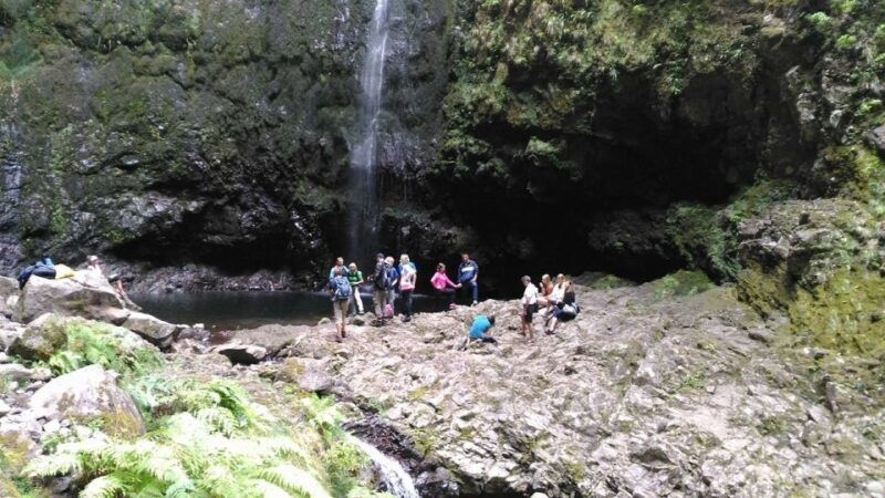 madeira-queimadas-caldeirao-verde-and-levada-walk