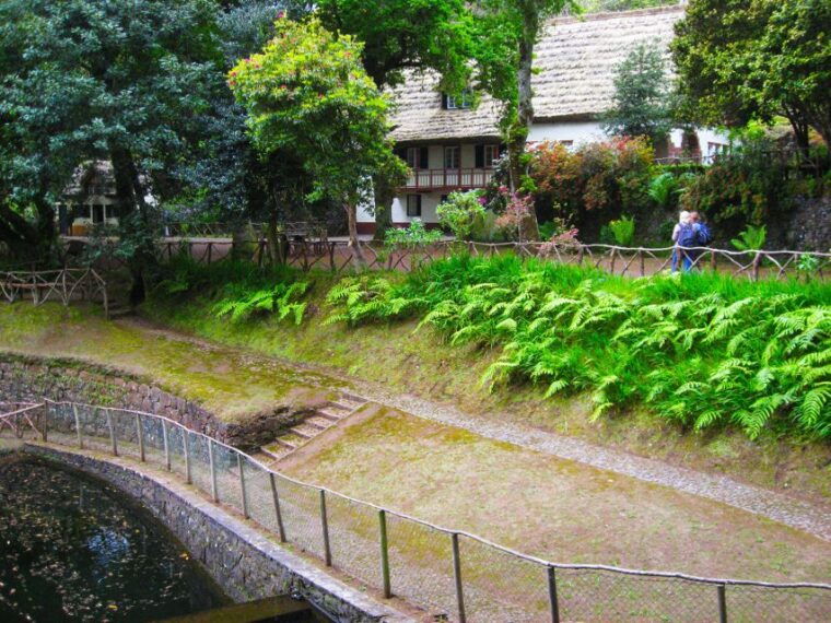 madeira-queimadas-caldeirao-verde-and-levada-walk