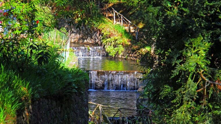 madeira-queimadas-caldeirao-verde-and-levada-walk