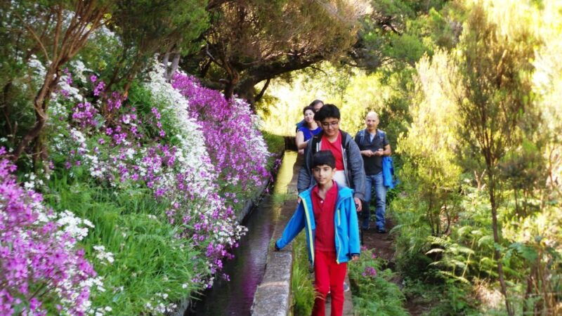 madeira-rabacal-25-fountains-levada-walk-cabo-girao