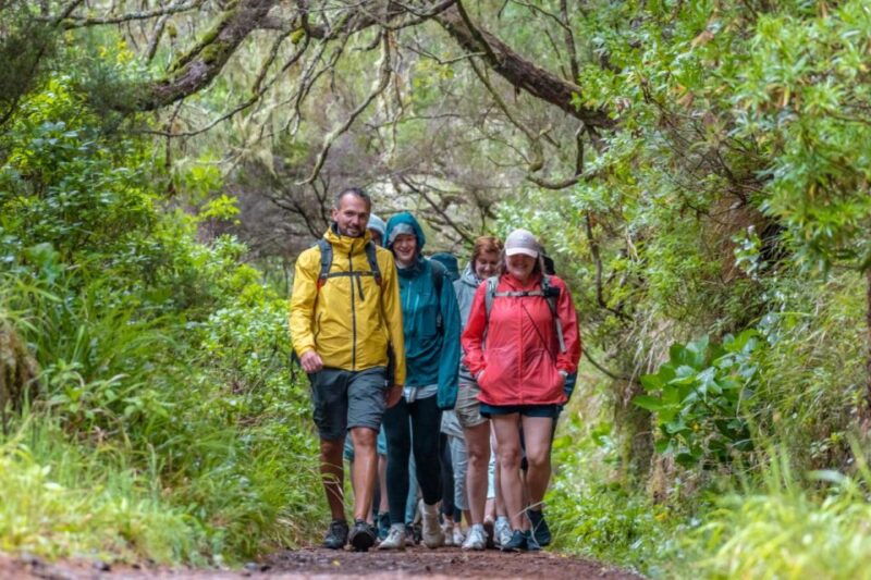 madeira-rabacal-25-fountains-levada-walk-cabo-girao