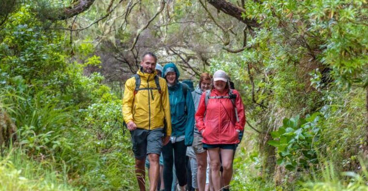 madeira-rabacal-25-fountains-levada-walk-cabo-girao