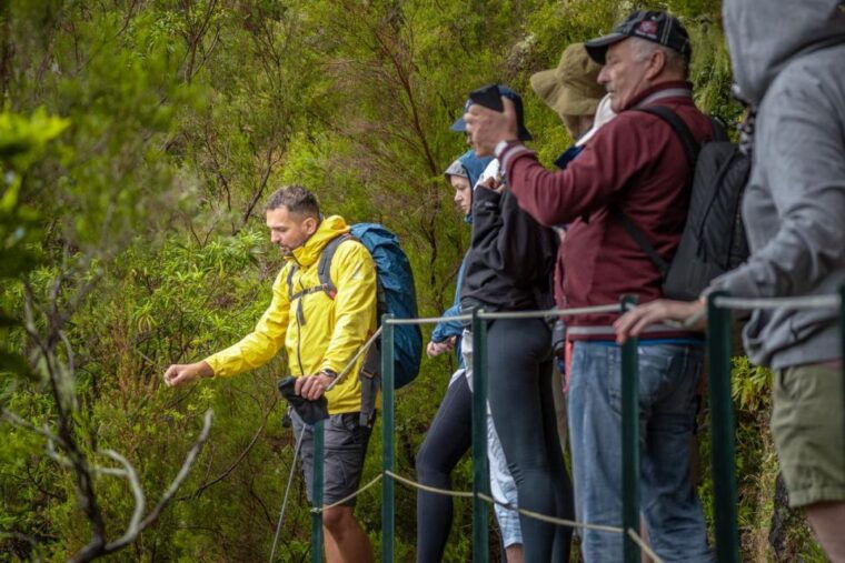 madeira-rabacal-25-fountains-levada-walk-cabo-girao