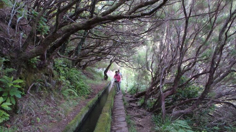 madeira-rabacal-25-fountains-levada-walk-cabo-girao