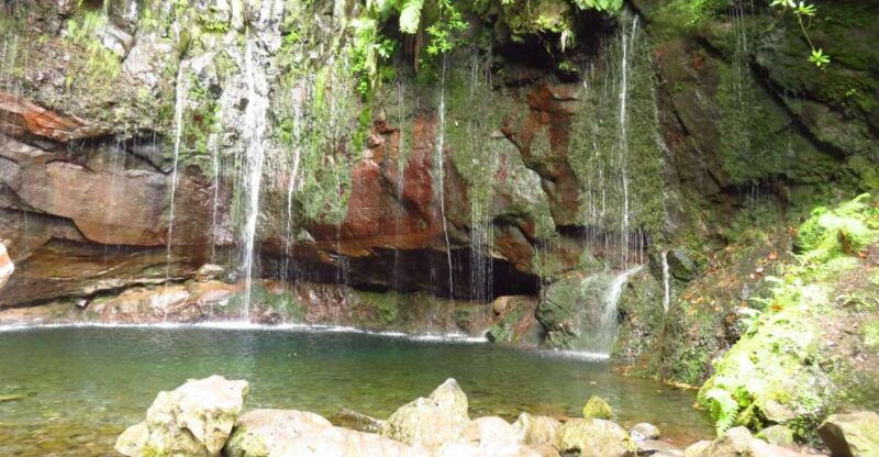 madeira-rabacal-risco-and-25-fontes-guided-hiking-tour