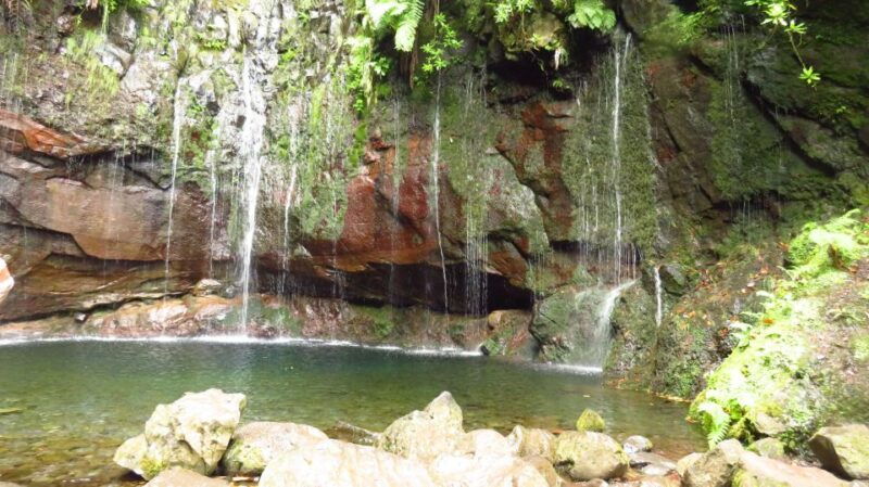 madeira-rabacal-risco-and-25-fontes-guided-hiking-tour