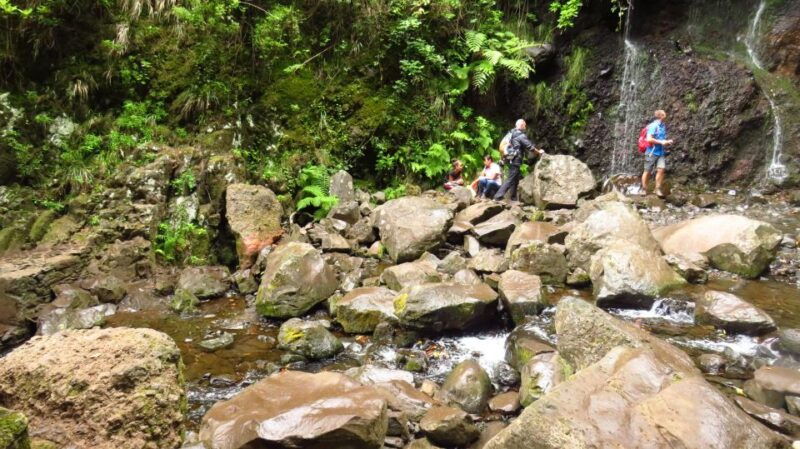 madeira-rabacal-risco-and-25-fontes-guided-hiking-tour