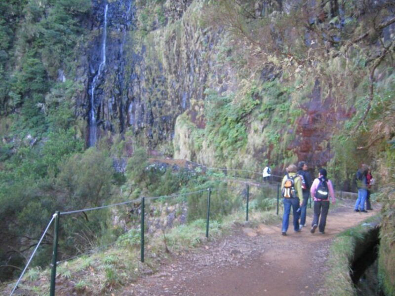 madeira-rabacal-risco-and-25-fontes-guided-hiking-tour