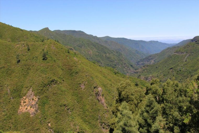 madeira-rabacal-risco-and-25-fontes-guided-hiking-tour
