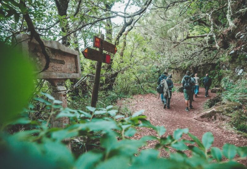 madeira-rabacal-valley-and-the-25-fountains-hike